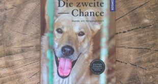 Tierschutzhunde-Buch