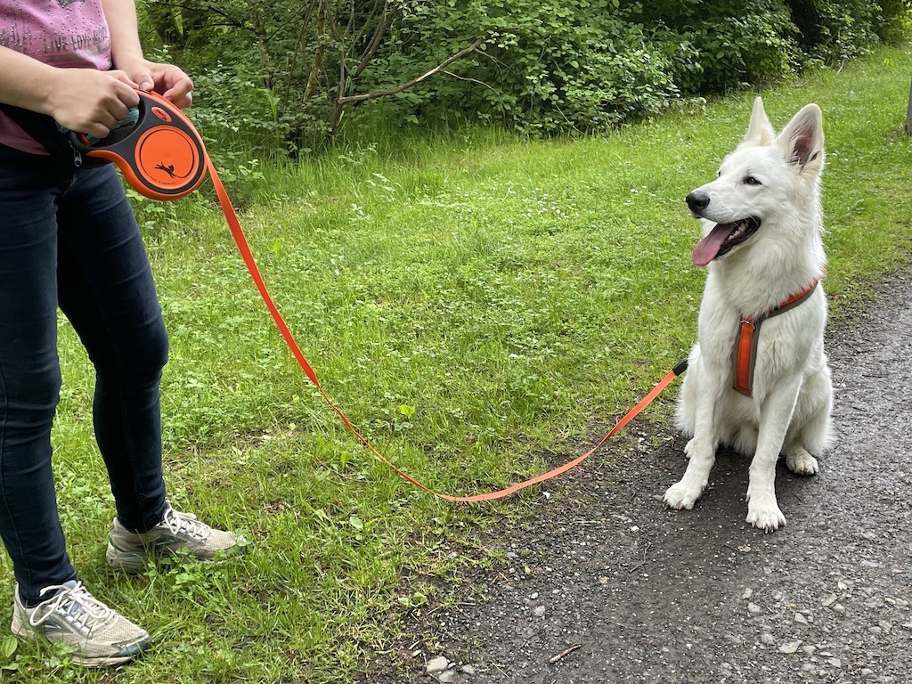 Rollleine Flexi Extreme mit Hund