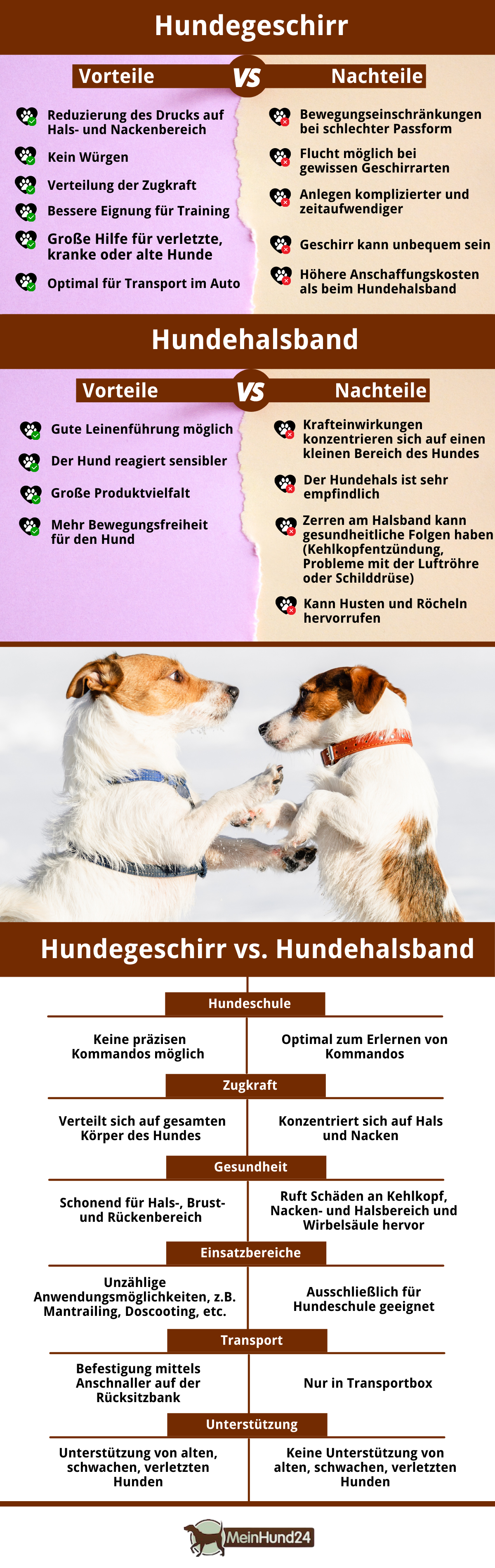 Hundegeschirr vs. Hundehalsband