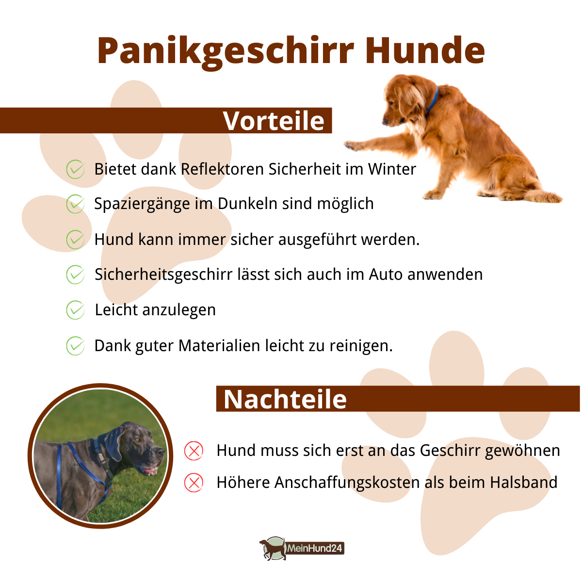 Panikgeschirr Hunde Vorteile und Nachteile Infografik