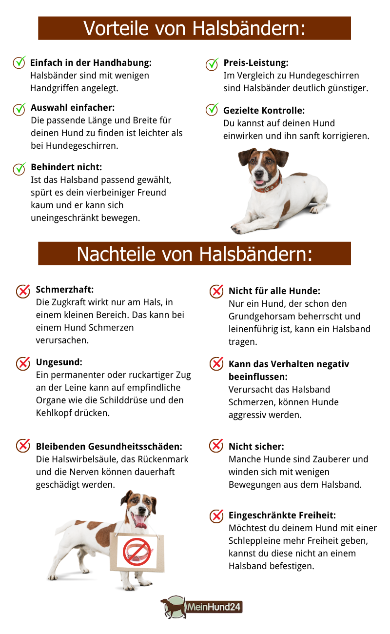 Vorteile und Nachteile von Hundehalsbändern