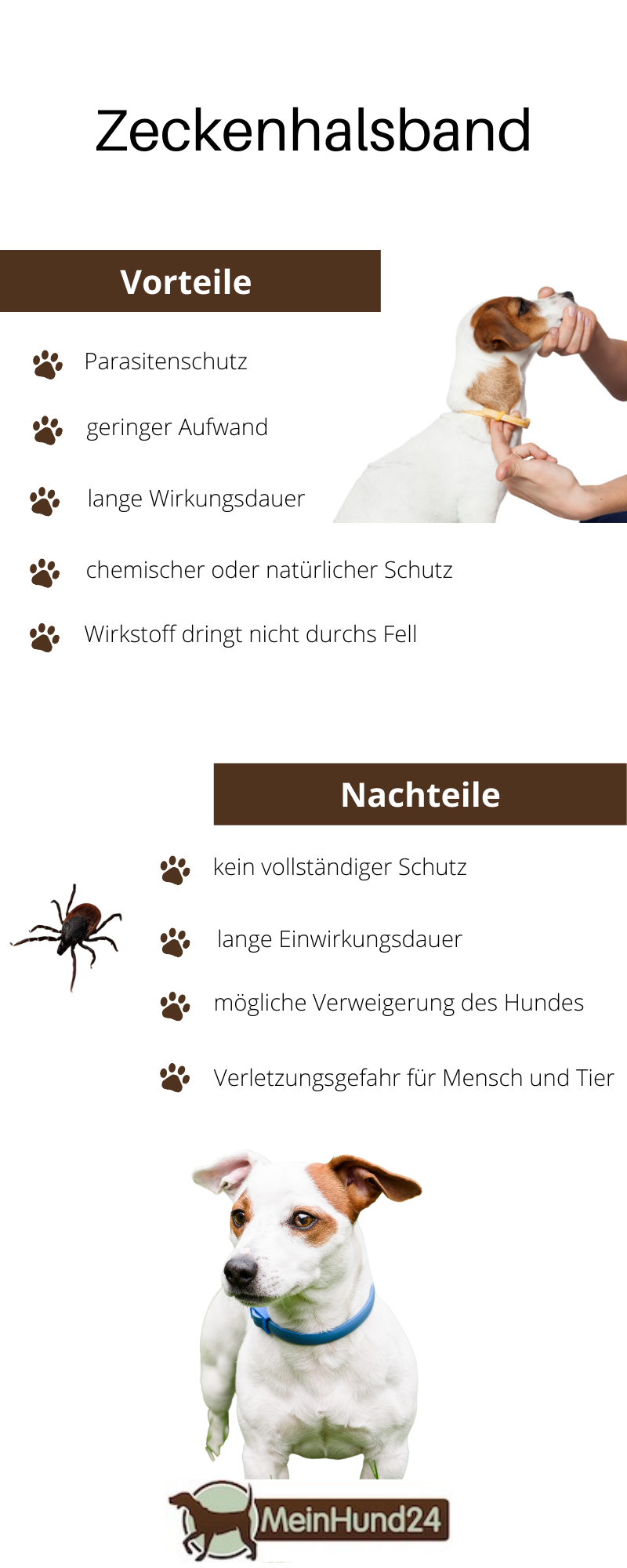 Vorteile und Nachteile von Zeckenhalsbändern für Hunde Infografik