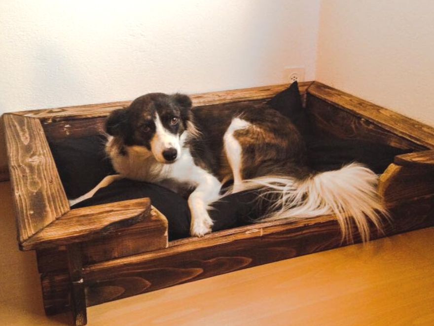 Hundebett aus Holz mit Hund