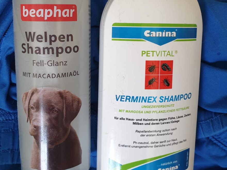 Shampoo für Hunde
