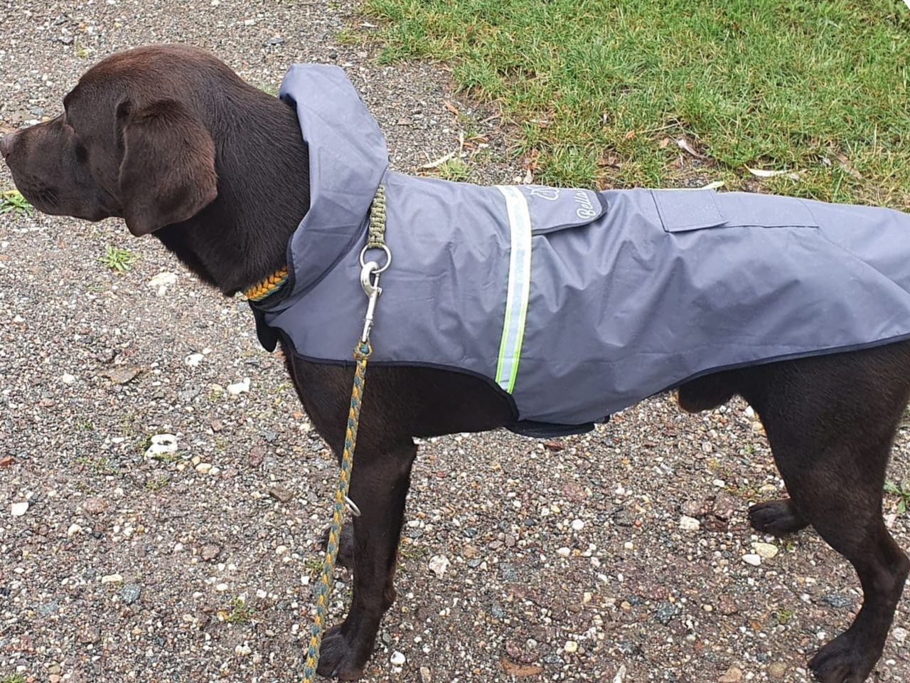 Hundekleidung Regenjacke