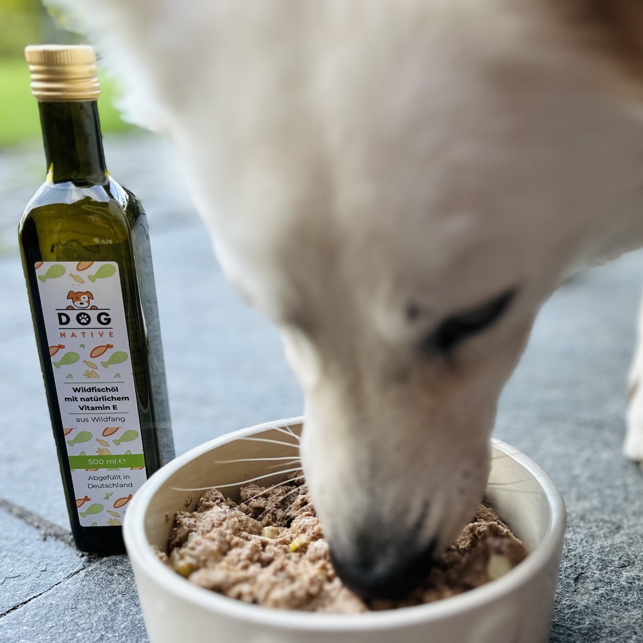 Omega 3 Fischöl für den Hund bei Diät